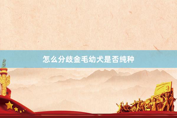 怎么分歧金毛幼犬是否纯种