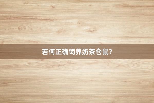 若何正确饲养奶茶仓鼠？