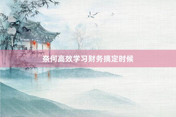 奈何高效学习财务搞定时候